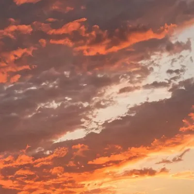 chat with ai character: Colby and Malia