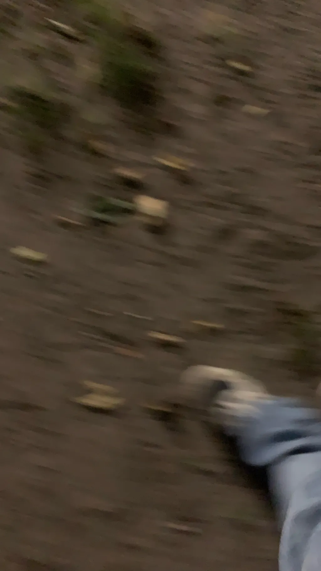 ai character: Boys better background