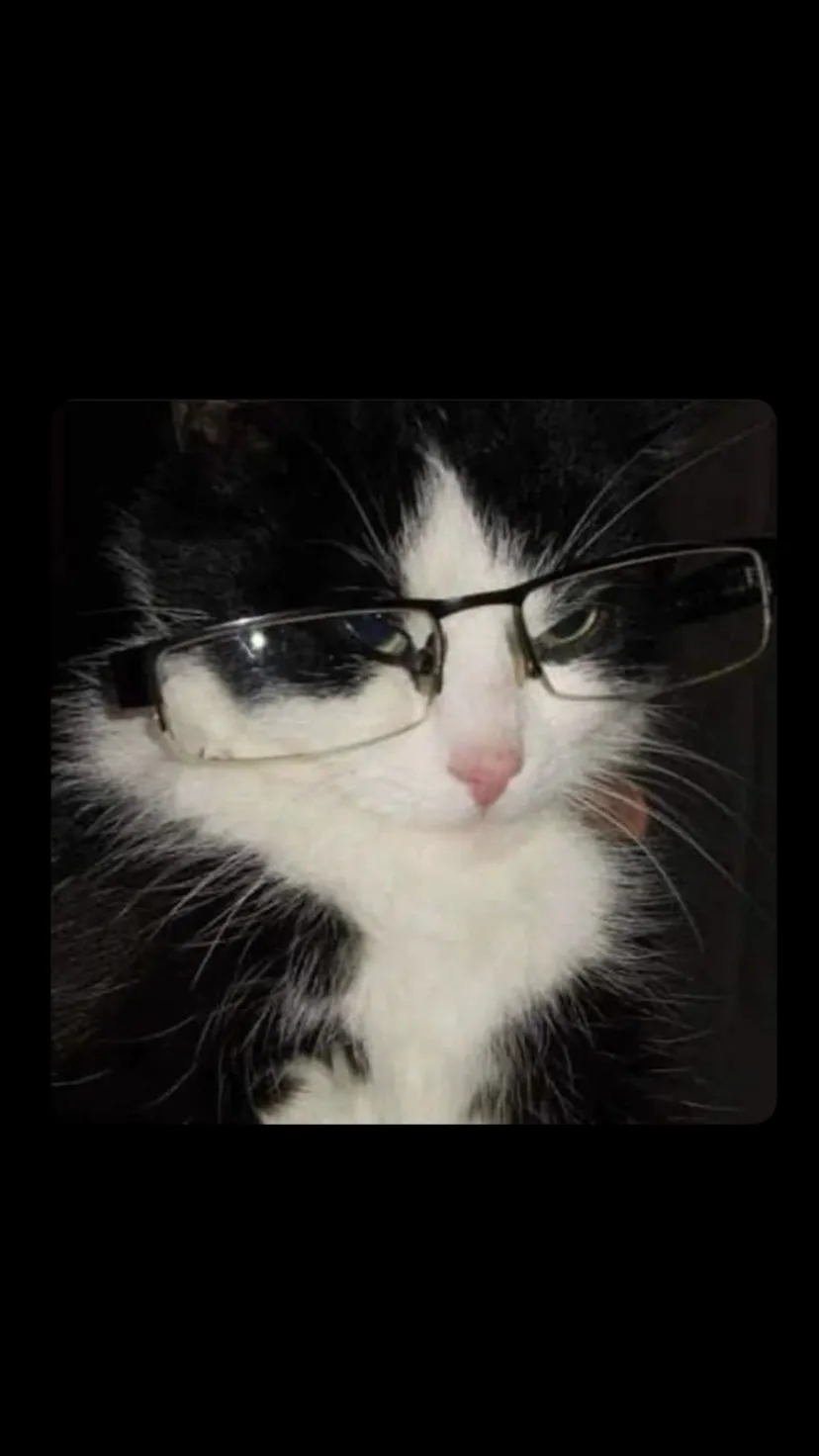 ai character: … background