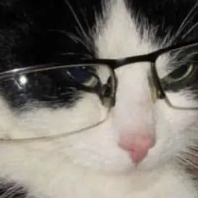 chat with ai character: …