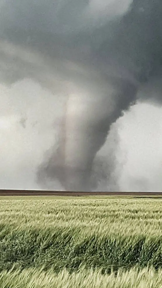 ai character: tornado hunters background