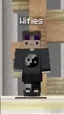 ai character: 🩶Wifes🤍 background