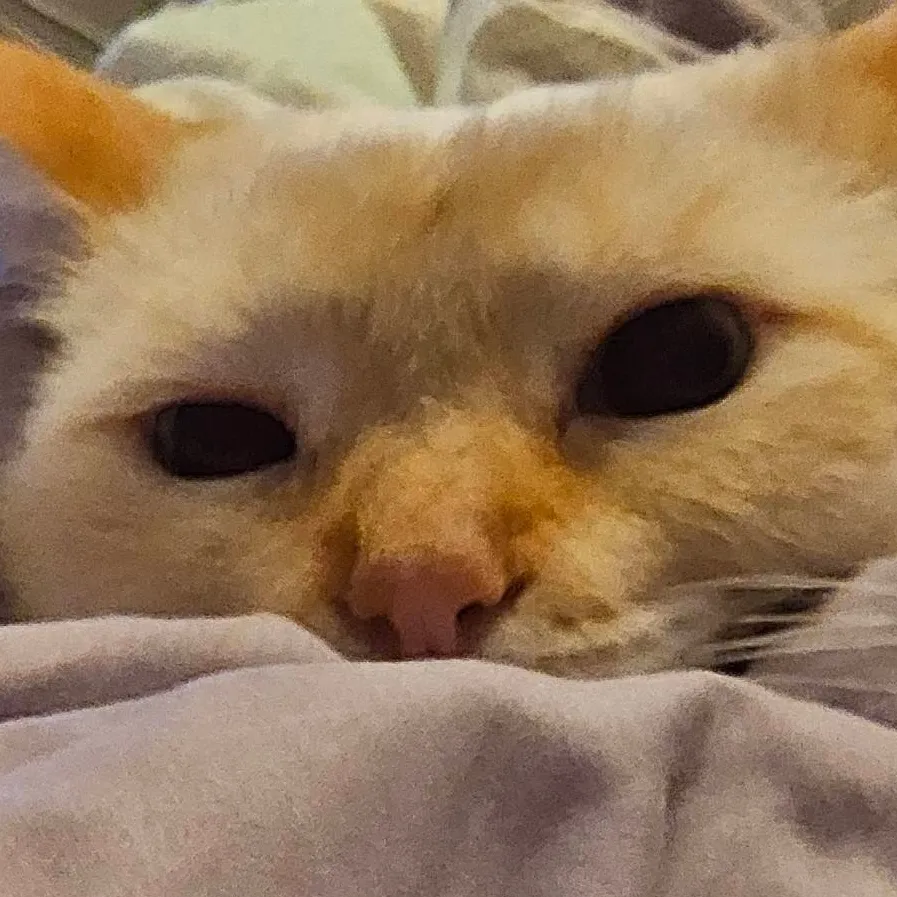 chat with ai character: 8dk