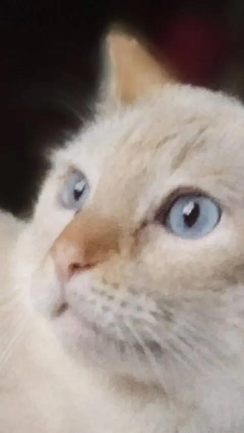 ai character: Kristoff  background