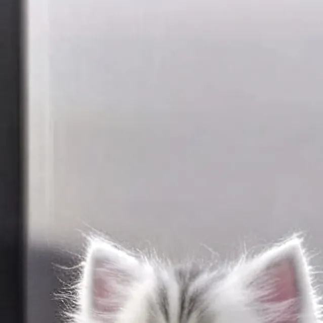 chat with ai character: baby cat