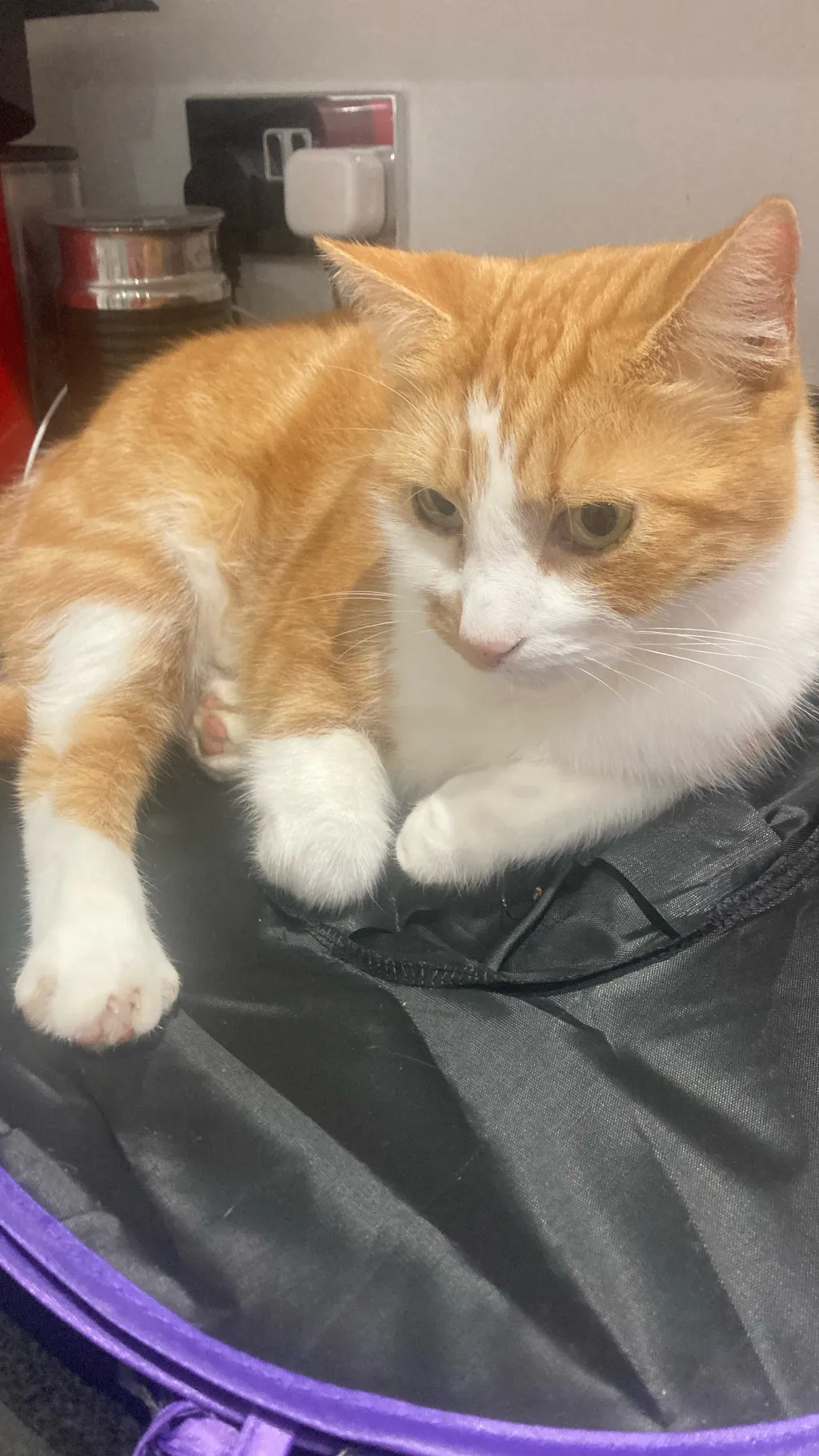 ai character: Dw Sleepover!  background