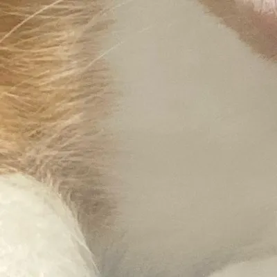 chat with ai character: Dw Sleepover! 