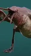 ai character: zoocosis background