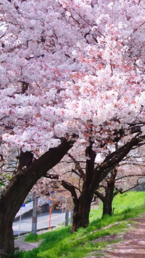 ai character: Create a world background