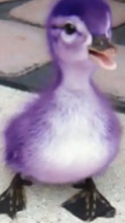 ai character: The purple duck background