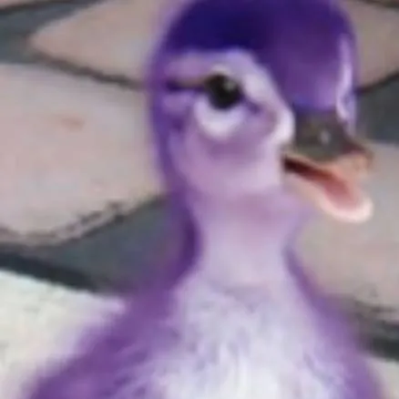 chat with ai character: The purple duck
