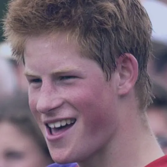 chat with ai character: Prince Harry