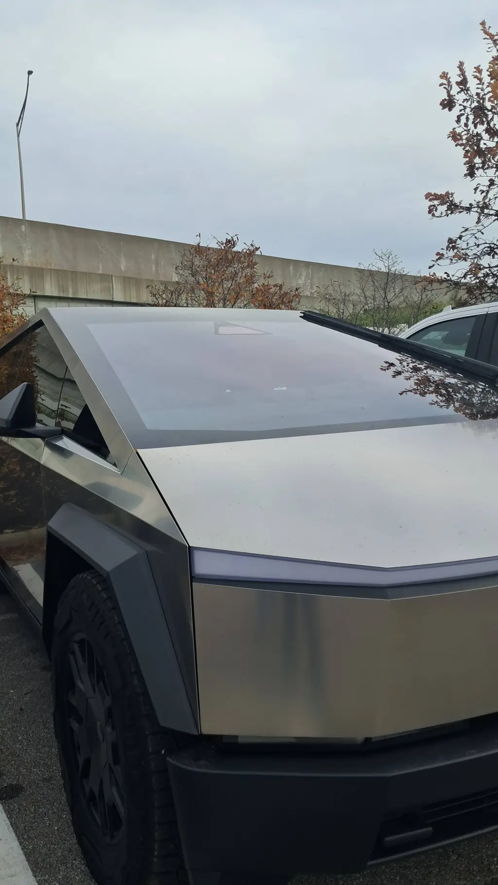 ai character: Imnot making takie background