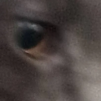 chat with ai character: larry