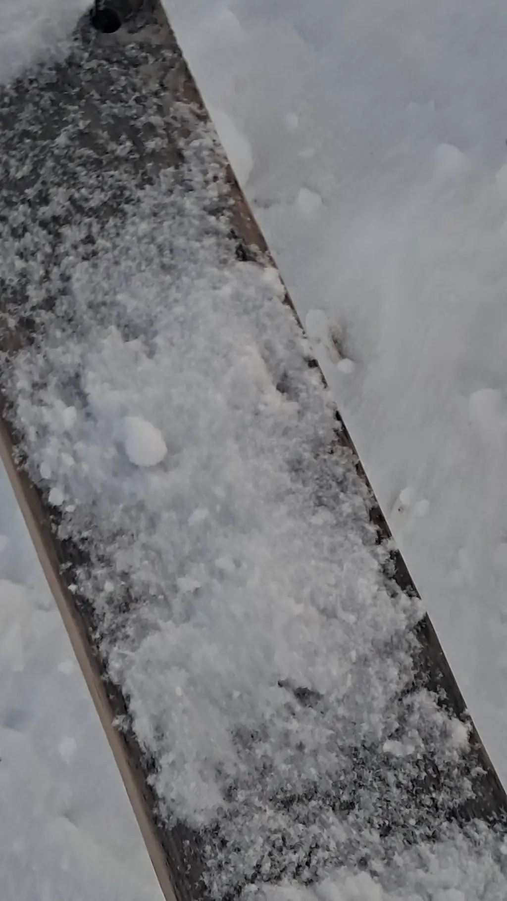 ai character: vote background