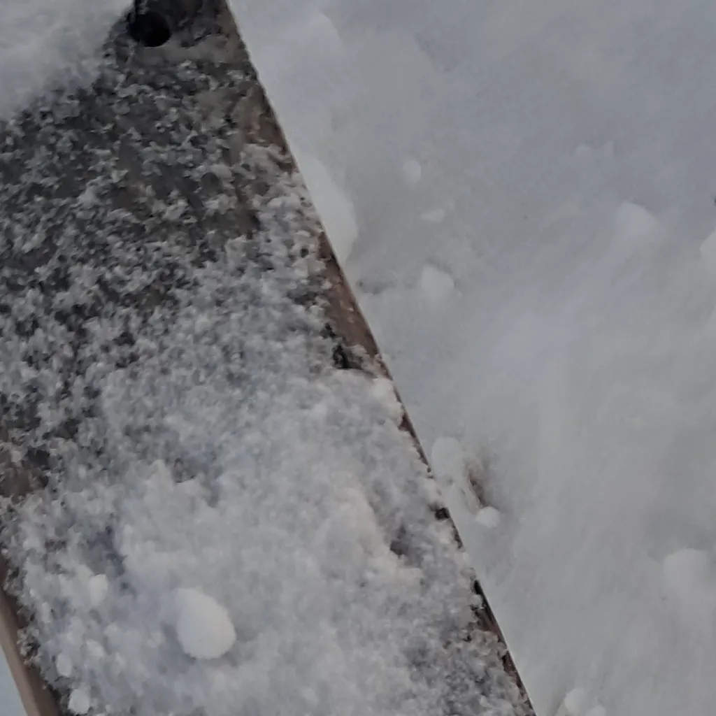 chat with ai character: vote