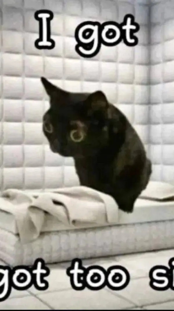 ai character: uwu background