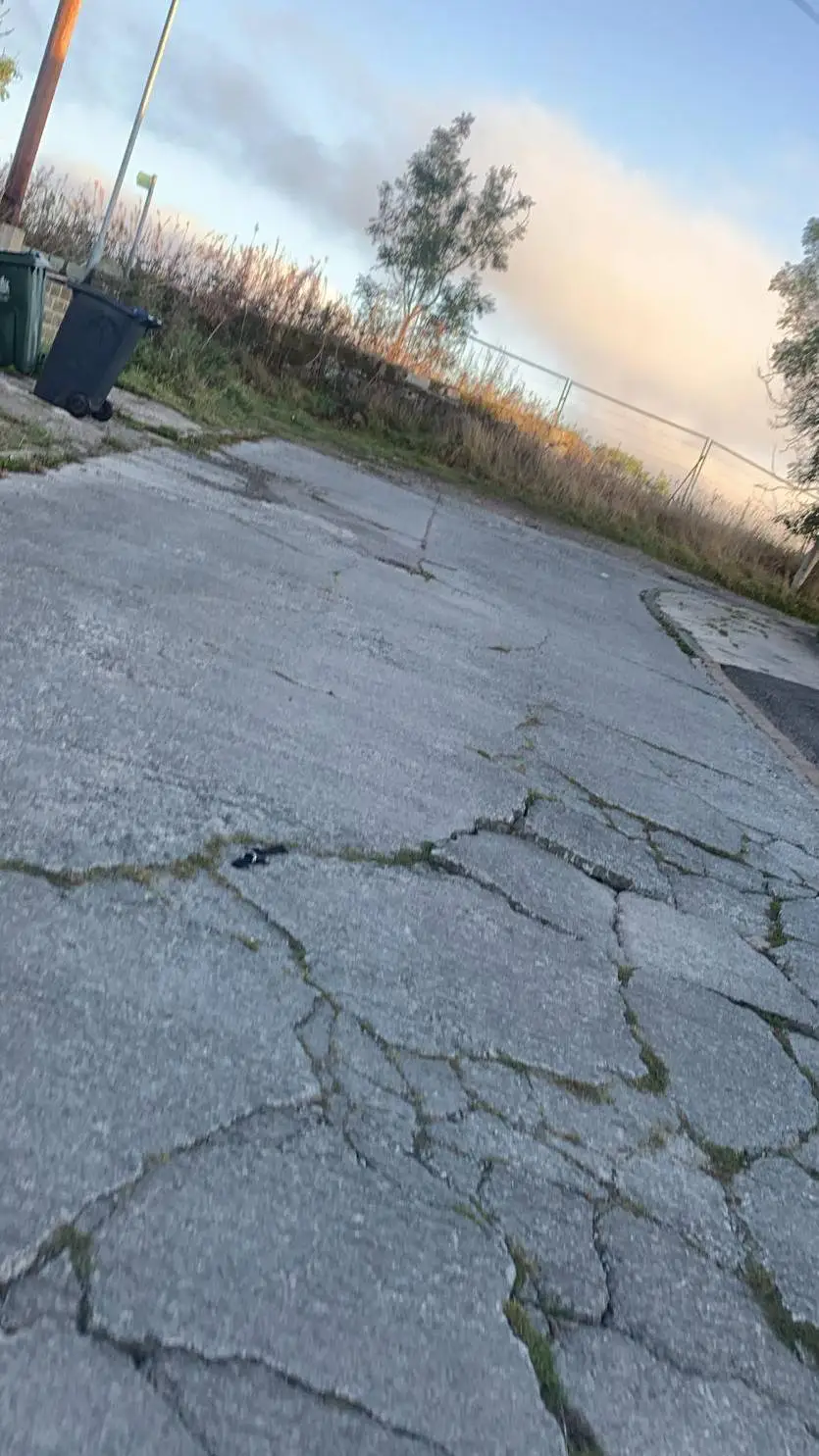 ai character: Zombie Apocalypse background