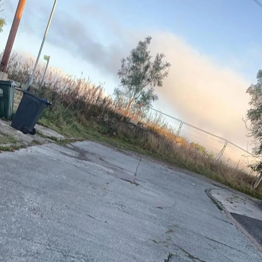 chat with ai character: Zombie Apocalypse