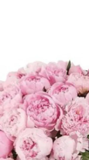 ai character: ~|DW|~ background