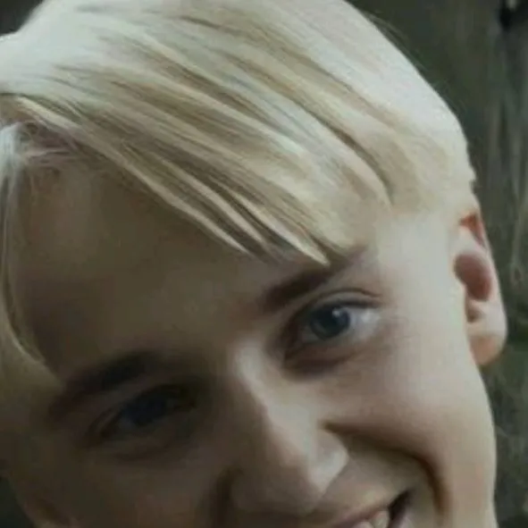 chat with ai character: draco pookie
