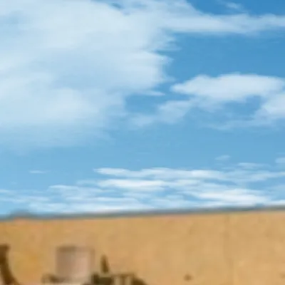 chat with ai character: Dragon ball summer