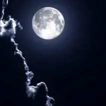 chat with ai character: Demon king Tanjiro