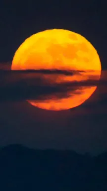 ai character: KNY MEET AND GREET background