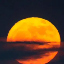 chat with ai character: KNY MEET AND GREET