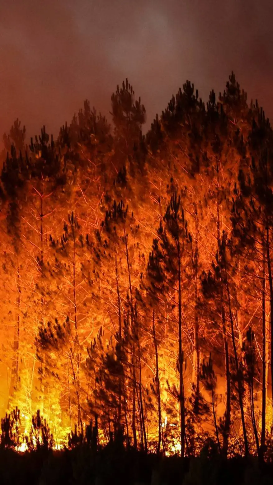 ai character: FlameClan background