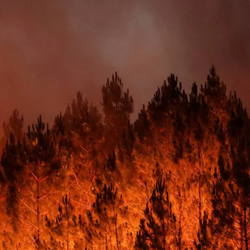 chat with ai character: FlameClan