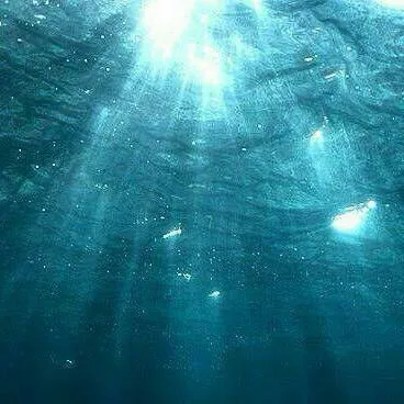 chat with ai character: OceanClan