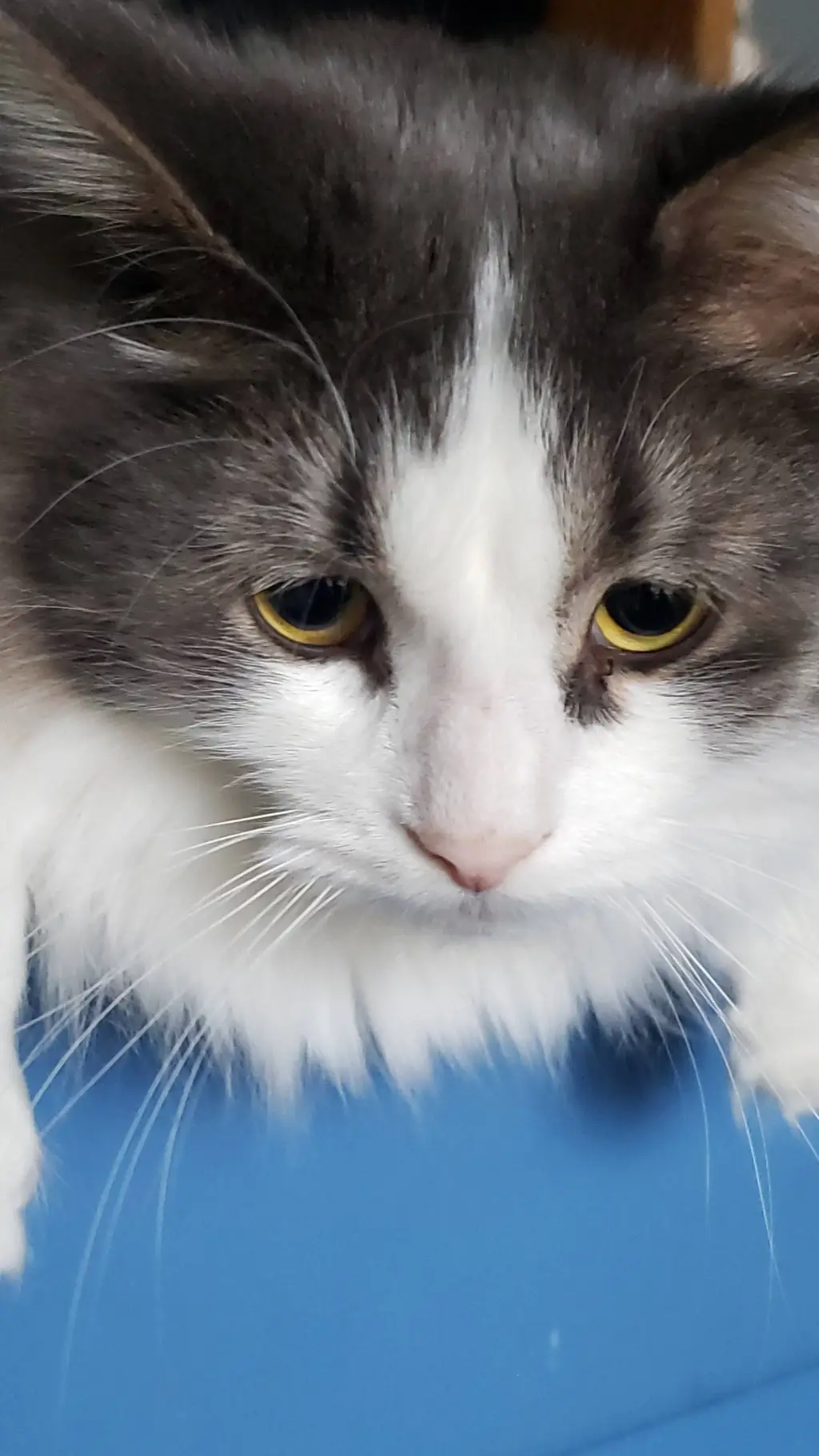 ai character: avengers67 background