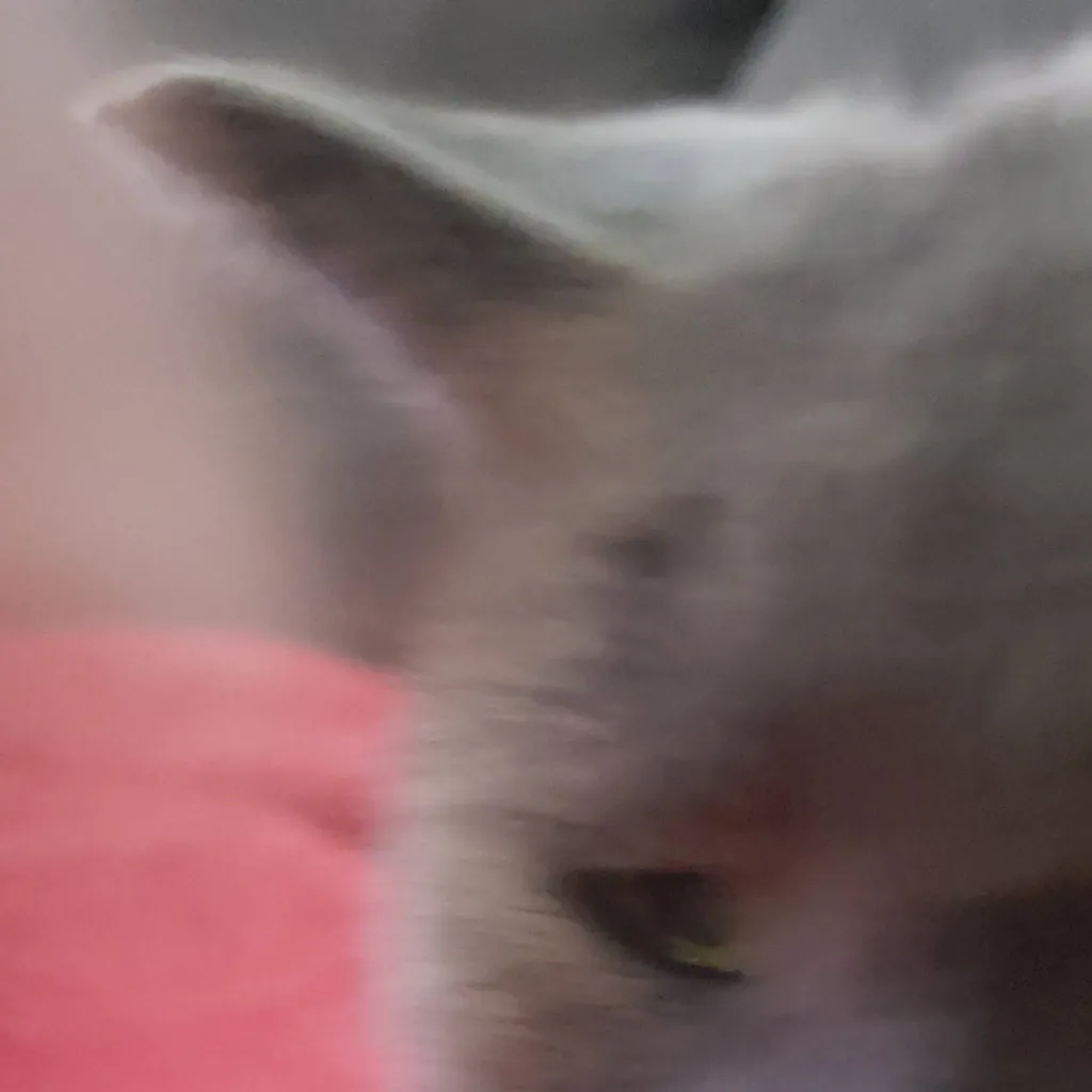 chat with ai character: ninja kids youtube