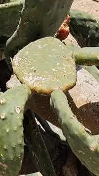 ai character: mha spin  bottle background