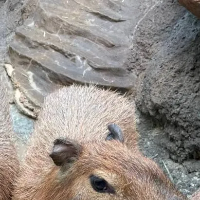 chat with ai character: bakugoxy/n child 🫢