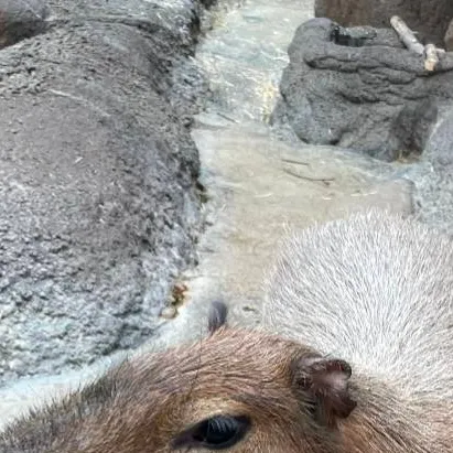 chat with ai character: mha hotel