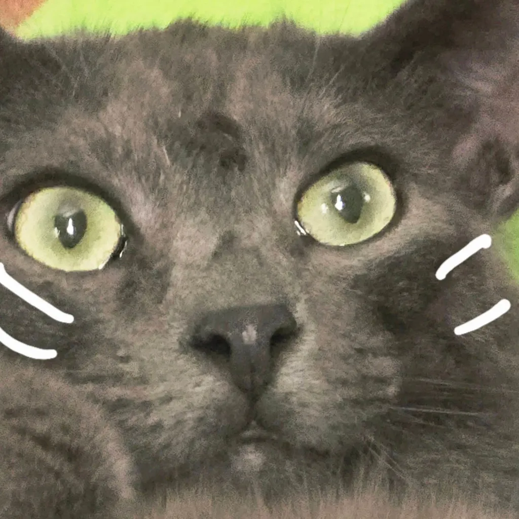chat with ai character: ivan (the cat) 