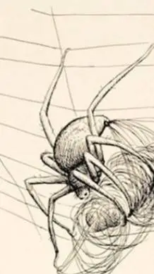 ai character: Charlotte background