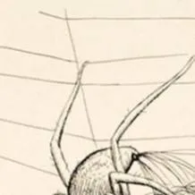 chat with ai character: Charlotte