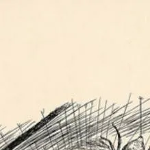 chat with ai character: Charlotte(egg sac)