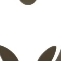 chat with ai character: hornet 