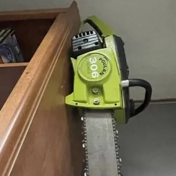 chat with ai character: pulan 306a