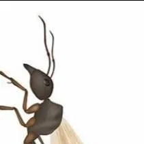 chat with ai character: queen ant