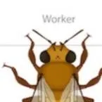 chat with ai character: male bee worker 