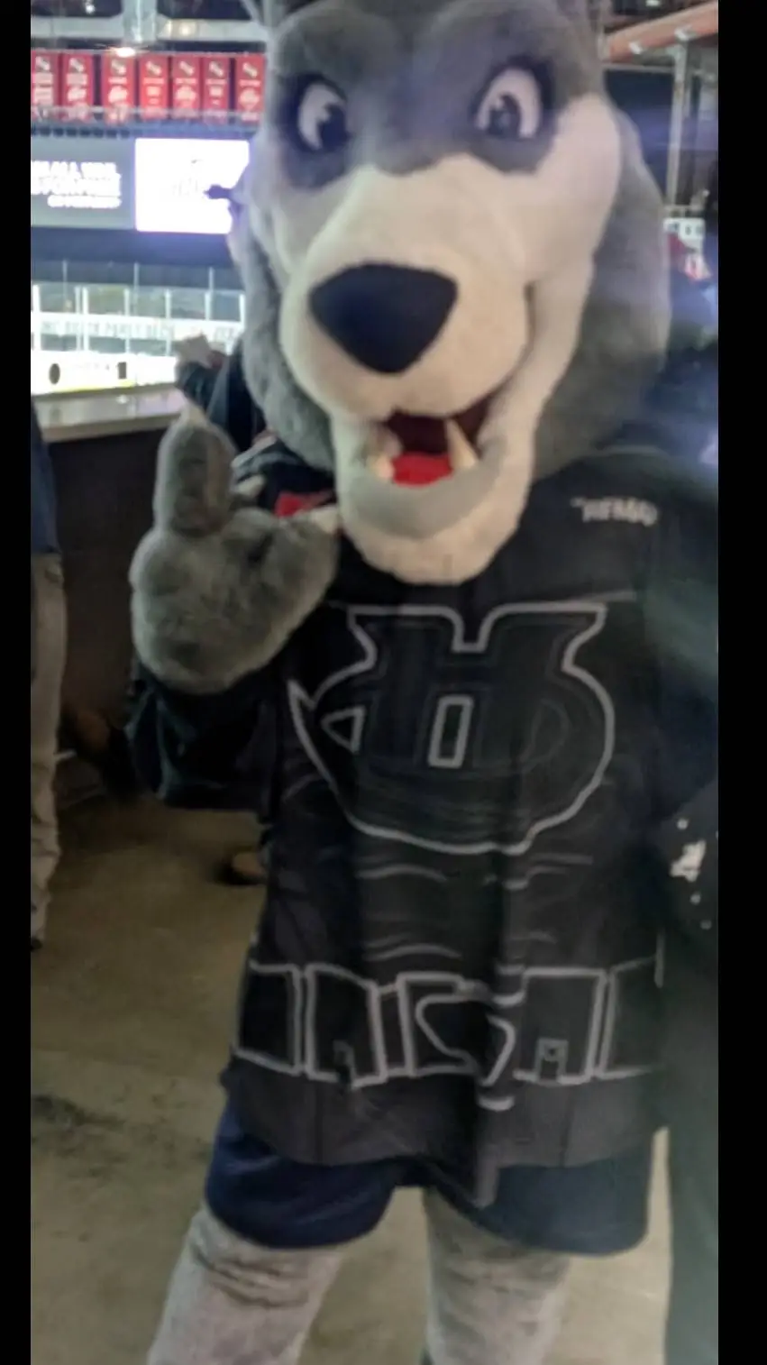 ai character: 🐺cane hockeymascot background