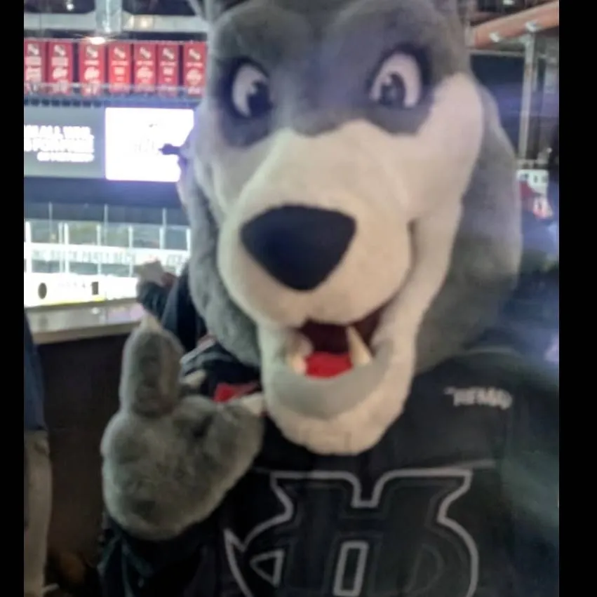 chat with ai character: 🐺cane hockeymascot