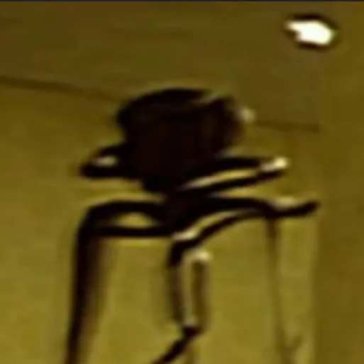 chat with ai character: Backrooms monster