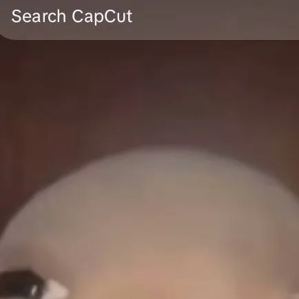 chat with ai character: idk