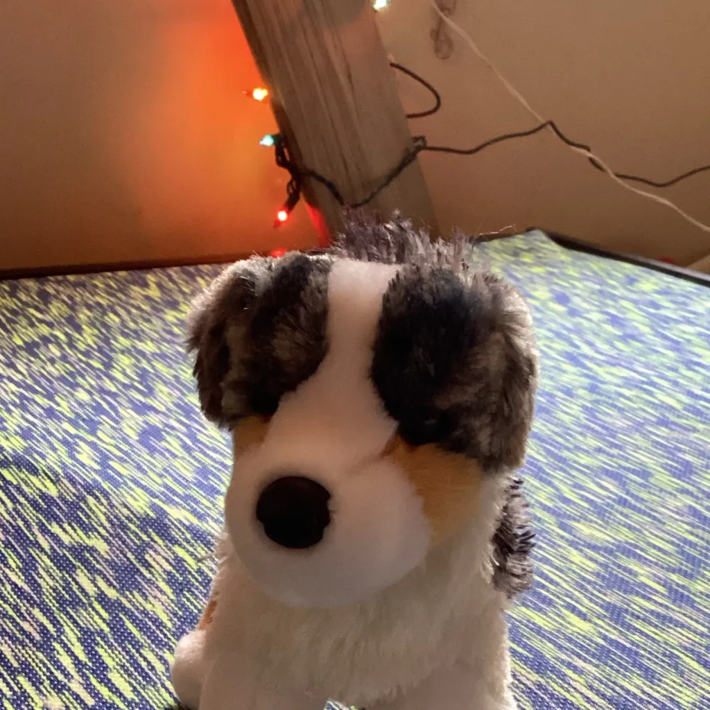 chat with ai character: Cash.